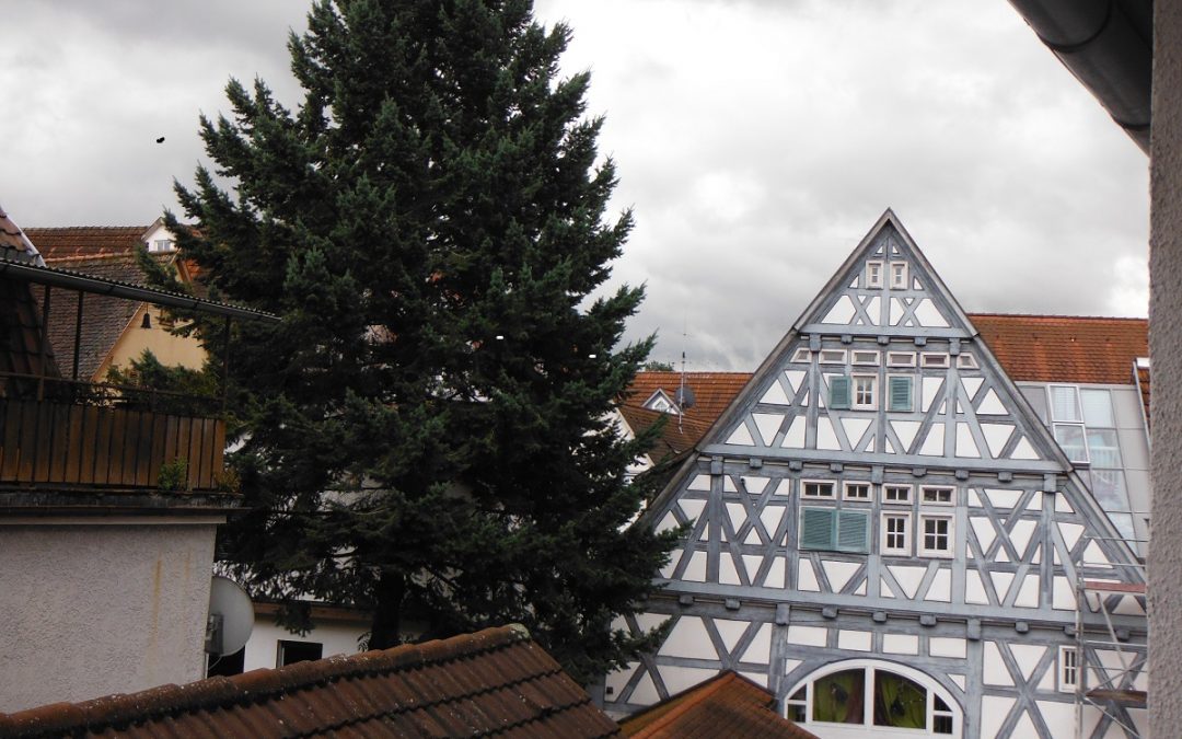 Helle und großzügige 3 ½ Zimmer Obergeschoss-Wohnung in einem modernisierten Mehrfamilienhaus